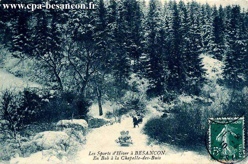 Les Sports d Hiver à BESANÇON - En Bob à la Chapelle-des-Buis